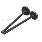 Valves for HONDA CBR250 MC22 Valves for HONDA CBR250 MC22